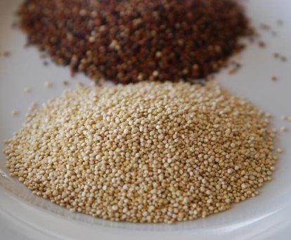 Organic Quinoa
