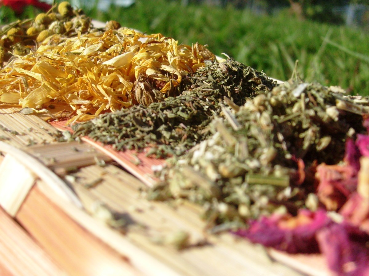 Herbal Remedies for Nasal Congestion, Stys &&nbsp;More