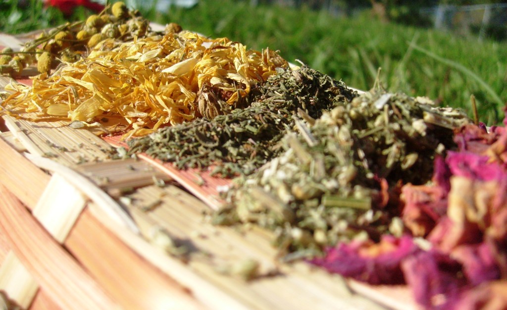 Herbal Remedies for Nasal Congestion, Stys &&nbsp;More