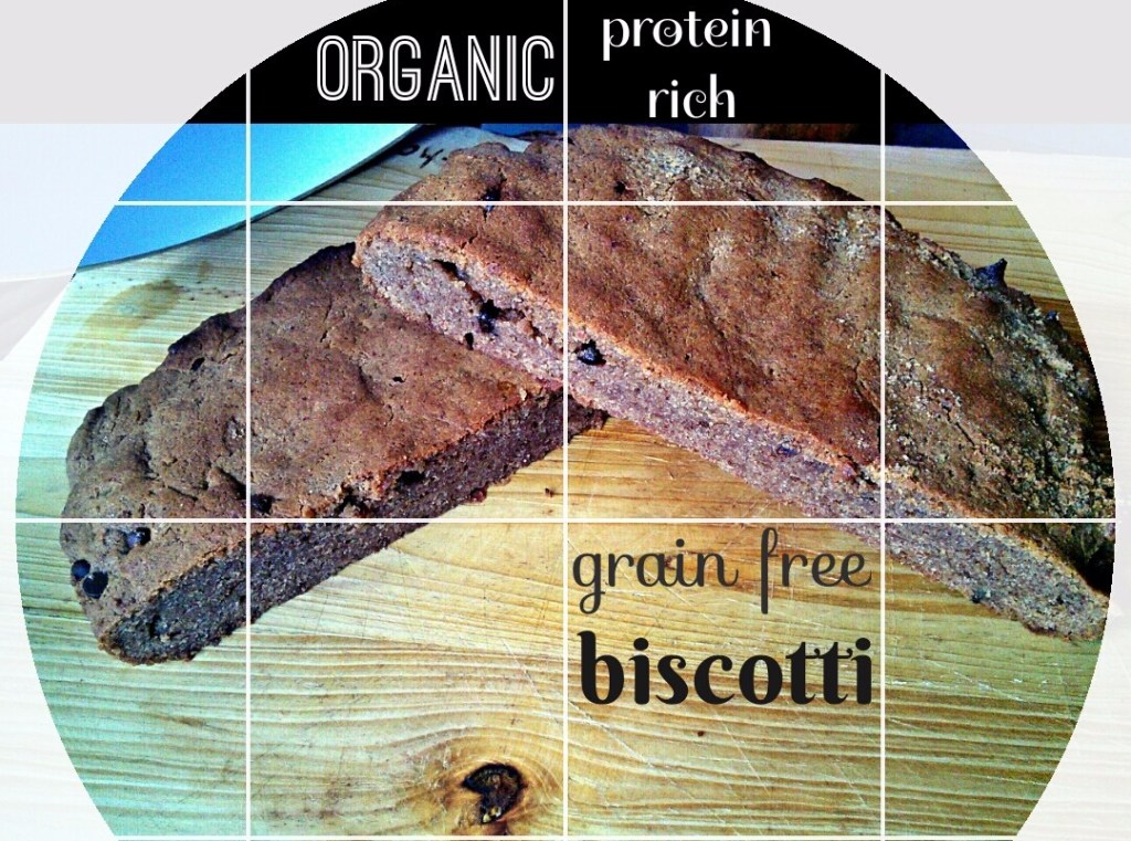 Grain Free Protein Packed Biscotti – Don’t Miss Out On Trying This – Super Easy &&nbsp;Delicious