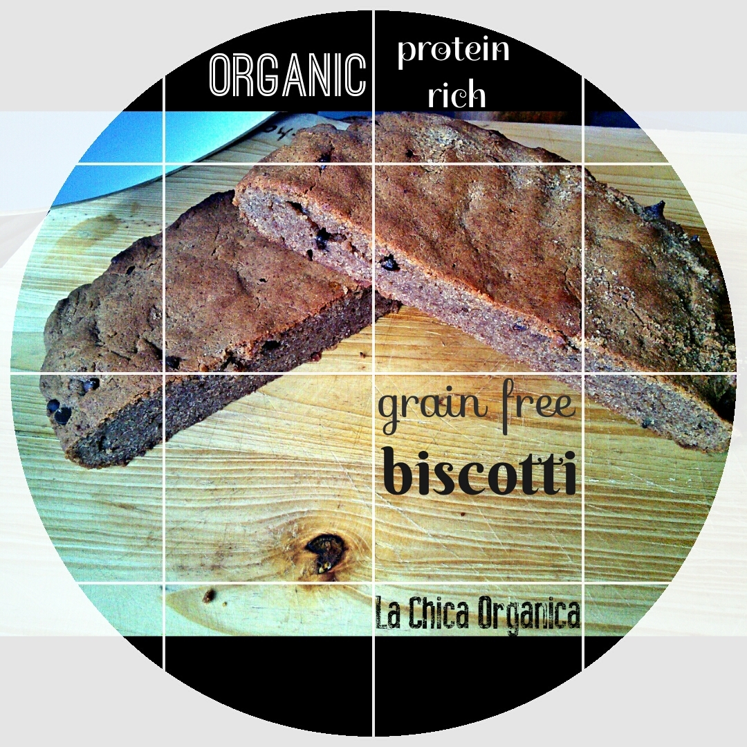grain-free-protein-biscotti.jpg