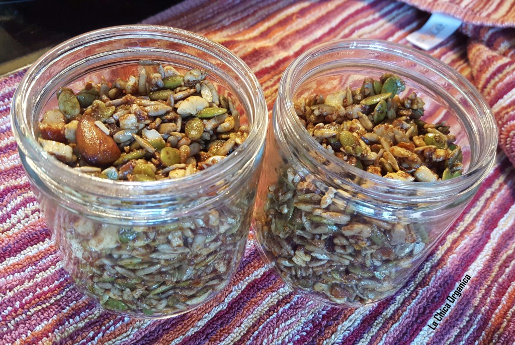 No Junk Nutrient Dense Sprouted Nut & Seed Trail Mix – Paleo – GAPS – Grain Free – Vegan