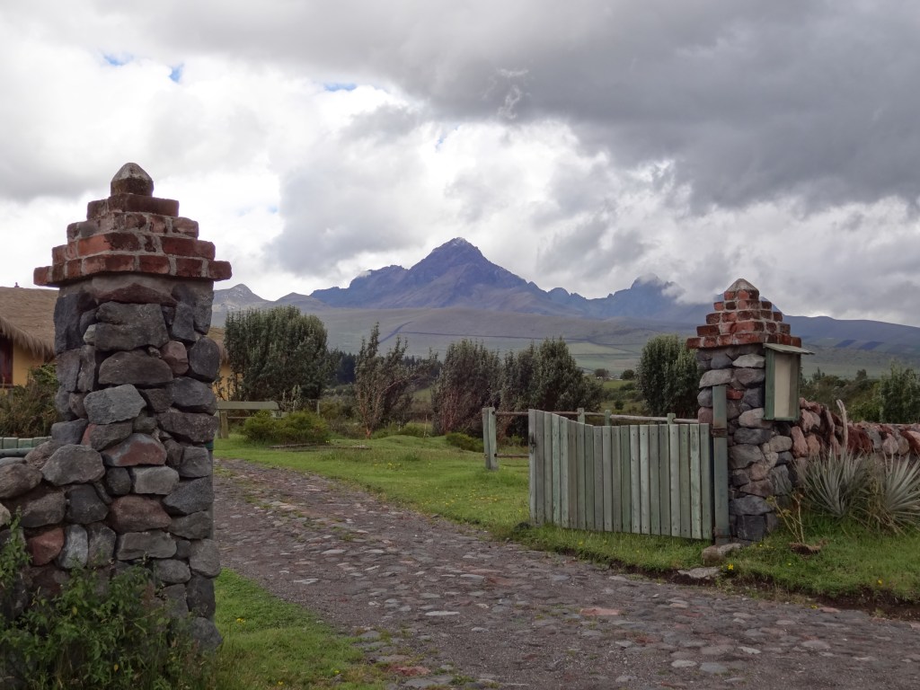 Poll – MCS Symptoms