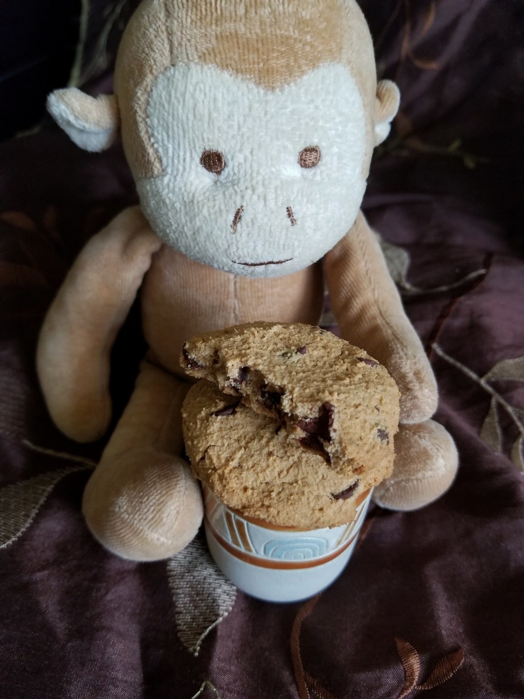 Grain Free – Lactose Free – Cheer Me Up Chocolate Chip Cookies – Plus How To Save on Ingredients