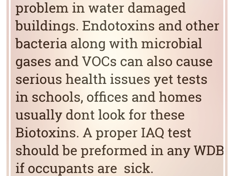 How Mold Spores and Mycotoxins Affect the&nbsp;Body