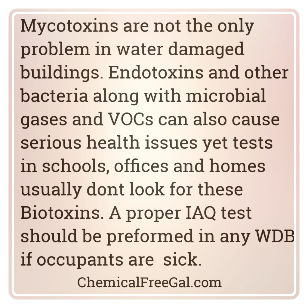 How Mold Spores and Mycotoxins Affect the&nbsp;Body