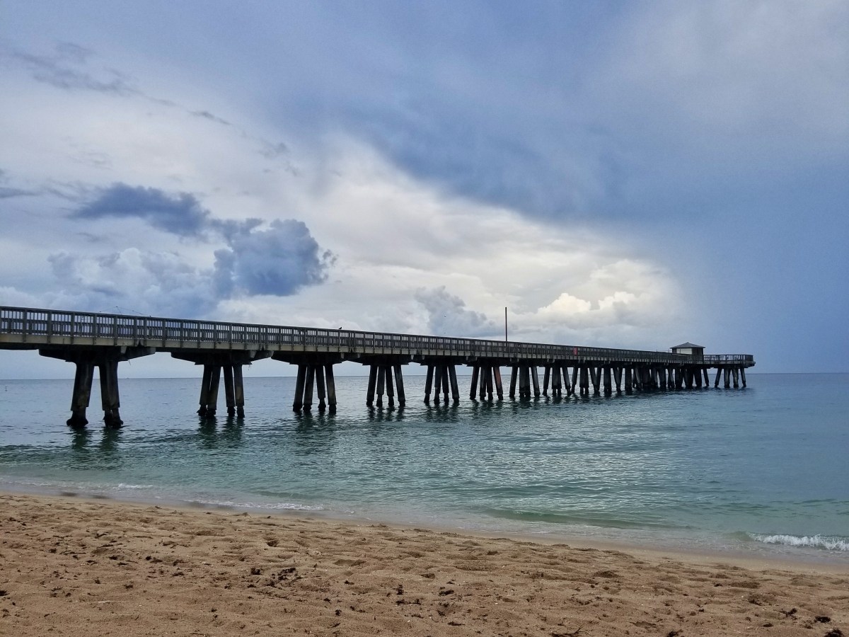 What Does It Mean To Be Masked & Unmasked in Regards to Fragrances & Toxic&nbsp;Mold