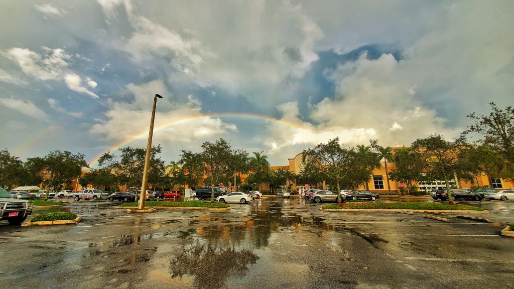 Poll – When did you first start to experience intolerance and sensitivity to chemicals?