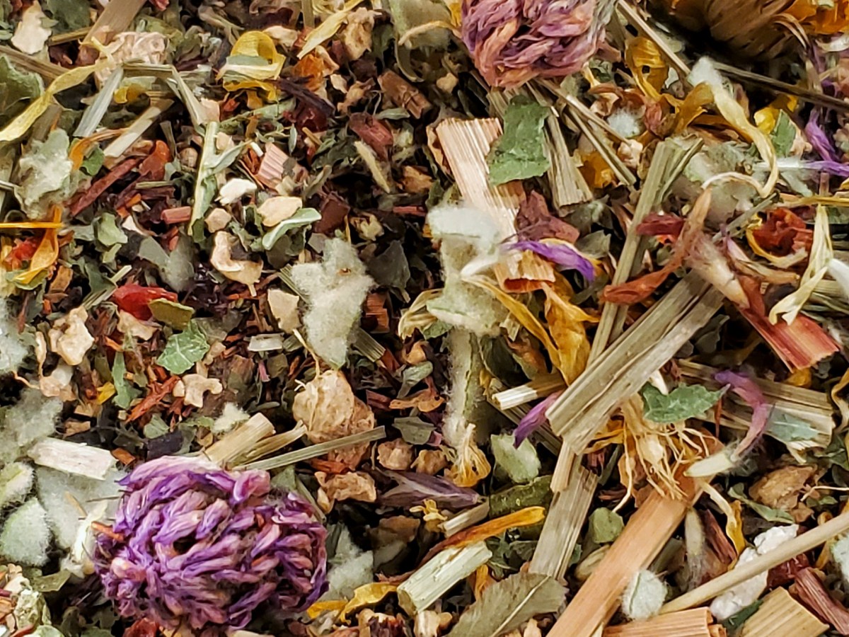 Six Must Have Herbs for the Upcoming Winter&nbsp;Season