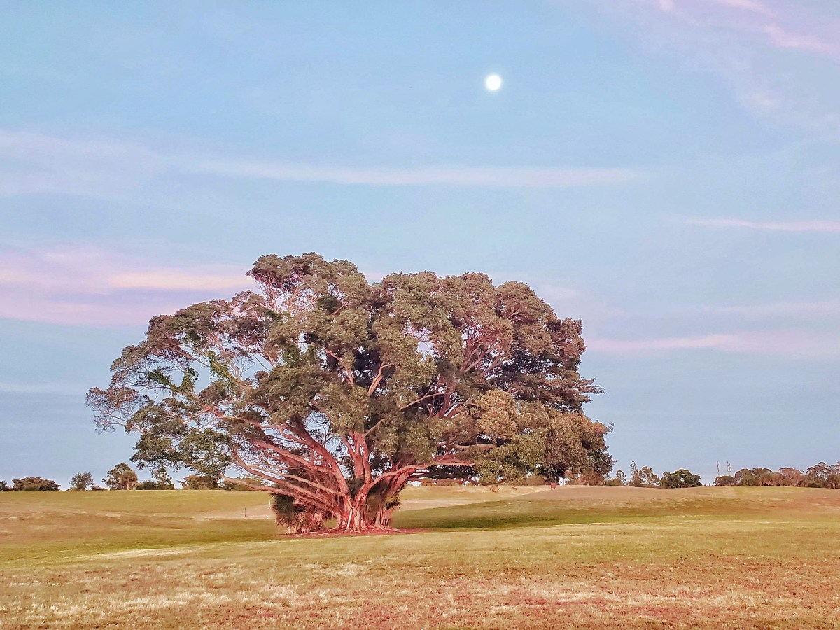 Chemical Injury In The Aftermath of 9/11 – The Untold&nbsp;Story