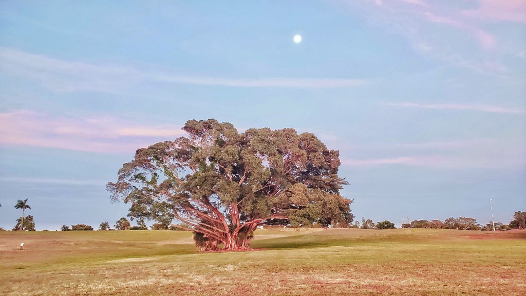 Chemical Injury In The Aftermath of 9/11 – The Untold Story