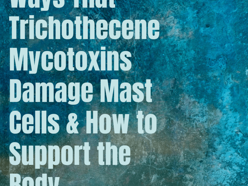 The Impact of Trichothecene Mycotoxins on Mast Cells and How To Support The&nbsp;Body