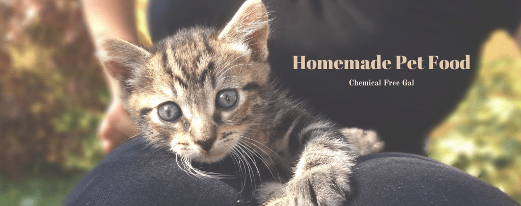 Two Easy Pet Food Recipes – Because We Love Our Furry&nbsp;Friends