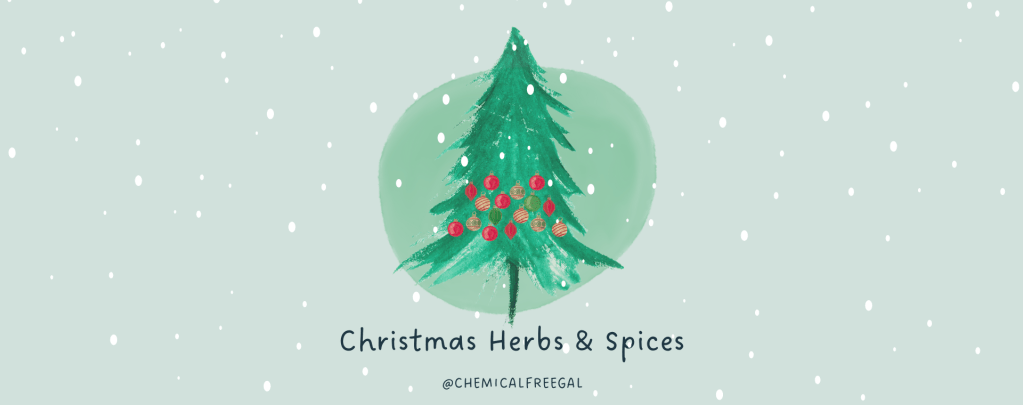 Christmas Herbs & Spices – Coloring & Learning Activity – Free Downloads