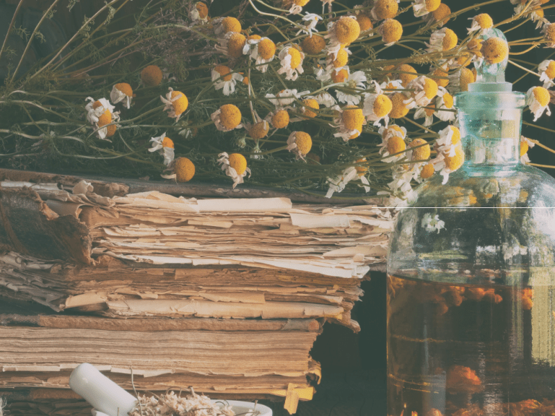 Must-Have Herbs for Your Medicine&nbsp;Cabinet