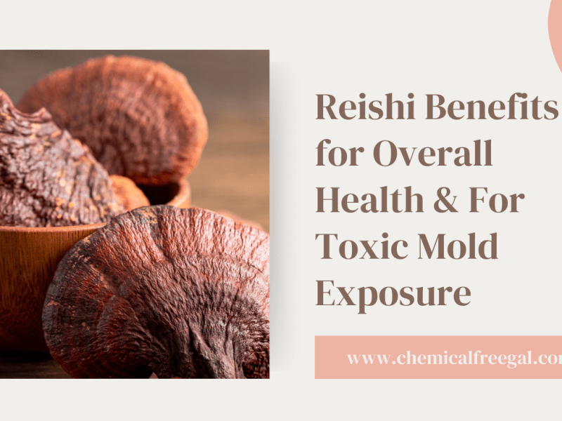 Reishi Benefits for Overall Health & For Toxic Mold&nbsp;Exposure